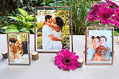 LOVE IN BLOOM AT WISTERIA HALL